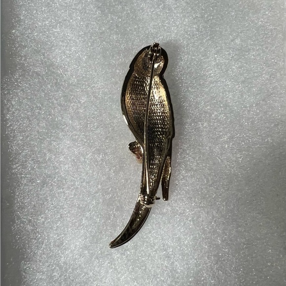 Pin parakeet - Picture 2 of 4